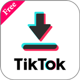 TikTok Downloader