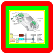 Car Electrical System