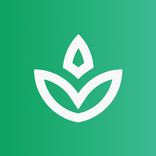 Daily Stillness: Inner Peace