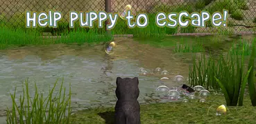 cão Simulator escapa 🐶