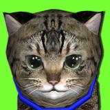 Kitty lovely Virtual Pet icon