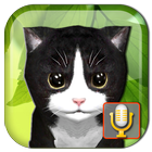 Talking Kittens virtual cat biểu tượng