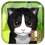Talking Kittens, gato virtual icono