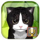 Talking Kittens virtual cat APK