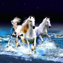 5D Horses Live Wallpaper APK