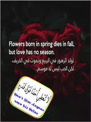 أقوال انجليزية مترجمة بالعربي APK 下載