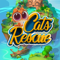 Cat Rescue
