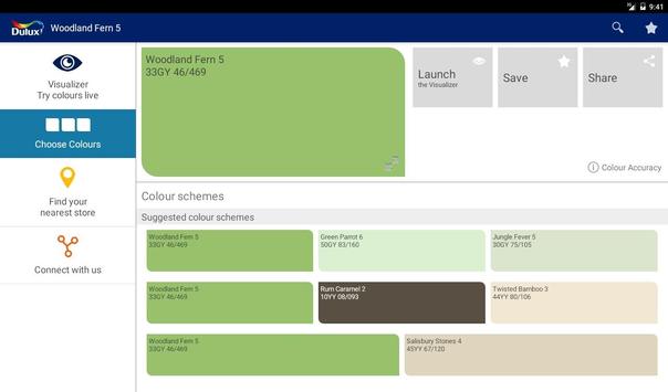 Dulux visualizer for windows