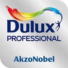 Dulux Expert RU 아이콘