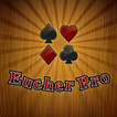 ”Euchre