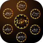 Quran Surahs Holy Quran Sharif иконка