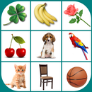 Brain game. Picture Match. APK