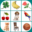 Brain game. Picture Match.-icoon