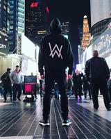 Alan Walker Best Songs 2020 - Offline capture d'écran 1