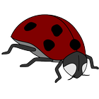 Bug Coloring Book icon