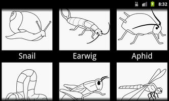 Bug Coloring Book ảnh chụp màn hình 1