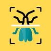 Insekten Scanner App