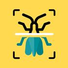Insekten Scanner ikona