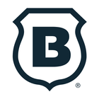 Brinks Home icon