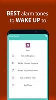 Alarm Sounds স্ক্রিনশট 2