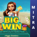 Panduan Menjadi Mitra Higgs Domino Free APK