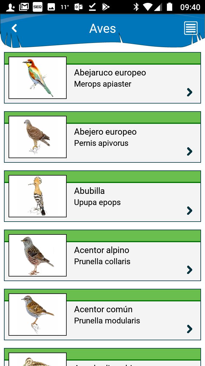 Aves De España For Android Apk Download