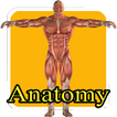 Aprender anatomia humana niños