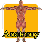 Aprender anatomia humana niños 图标