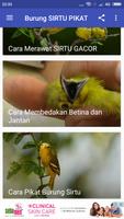 Burung SIRTU PIKAT 스크린샷 2