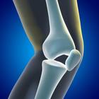 Rodilla App أيقونة