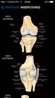 Rodilla App 截圖 1