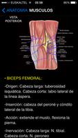 Rodilla App screenshot 2