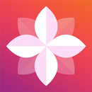 Gallery APK