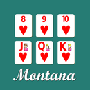 Montana Solitaire APK