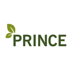 Prince-icoon