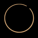 APK The Circle