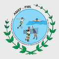 Cartão Amef
