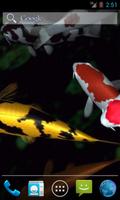 Magic touch: Koi Fish poster