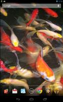 Baby-Koi: Water Effect ポスター