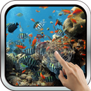 Colorful Tropical Fishes APK