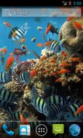 Colorful Tropical Fishes screenshot 2