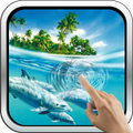 Magic Touch: Dolphins