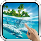 آیکون‌ Magic Touch: Dolphins