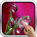 Drops of Morning Dew Live Wallpaper