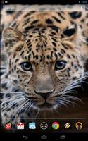 برنامه‌نما Magic Touch: Leopard Live Wall عکس از صفحه