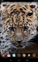 Magic Touch: Leopard Live Wall 截图 2