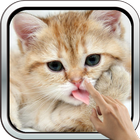 Magic Touch: Fluffy Cat 图标