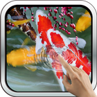 Interactive Koi Fish 3D ไอคอน