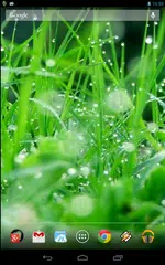 Magic Touch: Grass Live Wallpa APK download