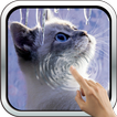 ”Interactive Kitten